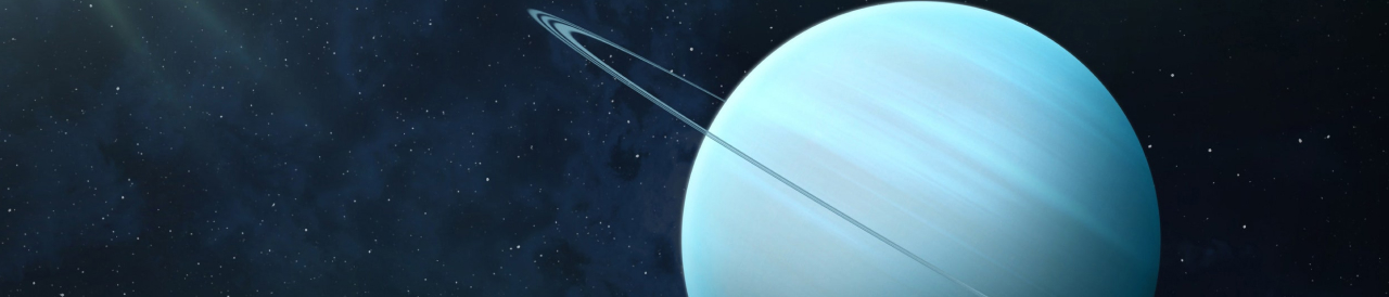 Frame 20 (41)
